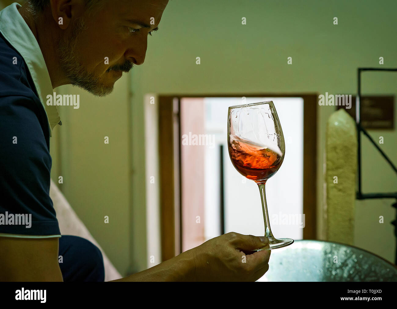Enologo in cata, degustazione di vino. Caiseda, Navarra.Spagna Foto Stock
