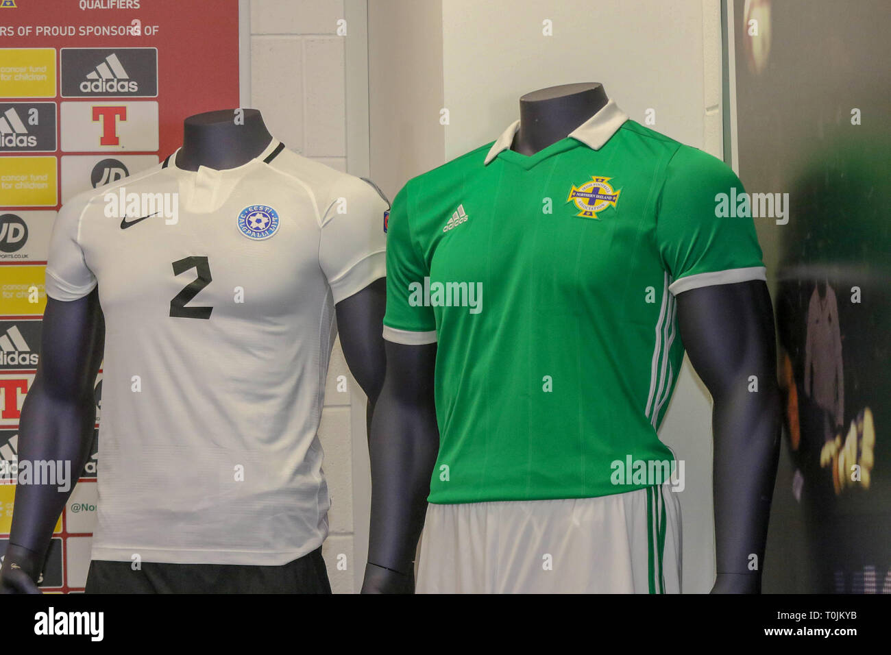 Windsor Park, Belfast, Irlanda del Nord. Il 20 marzo 2019. Irlanda del Nord conferenza stampa a Belfast. Irlanda del Nord gioca Estonia a Windsor Park domani sera nella loro apertura UEFA EURO 2020 partita di qualificazione. Credito: David Hunter/Alamy Live News. Foto Stock