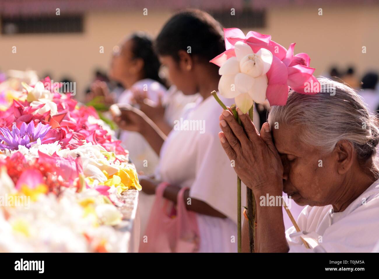 Kelaniya, Sri Lanka. 20 Mar, 2019. Sri Lanka devoti buddisti sono visibili in Kelaniya Temple a Kelaniya il 20 marzo 2019 per celebrare il giorno di poya. Poya day è un mensile vacanze in Sri Lanka, segnando la luna piena. Molti cittadini dello Sri Lanka sono utilizzati per andare al tempio buddista durante giorni di poya. Credito: Gayan Sameera/Xinhua/Alamy Live News Foto Stock