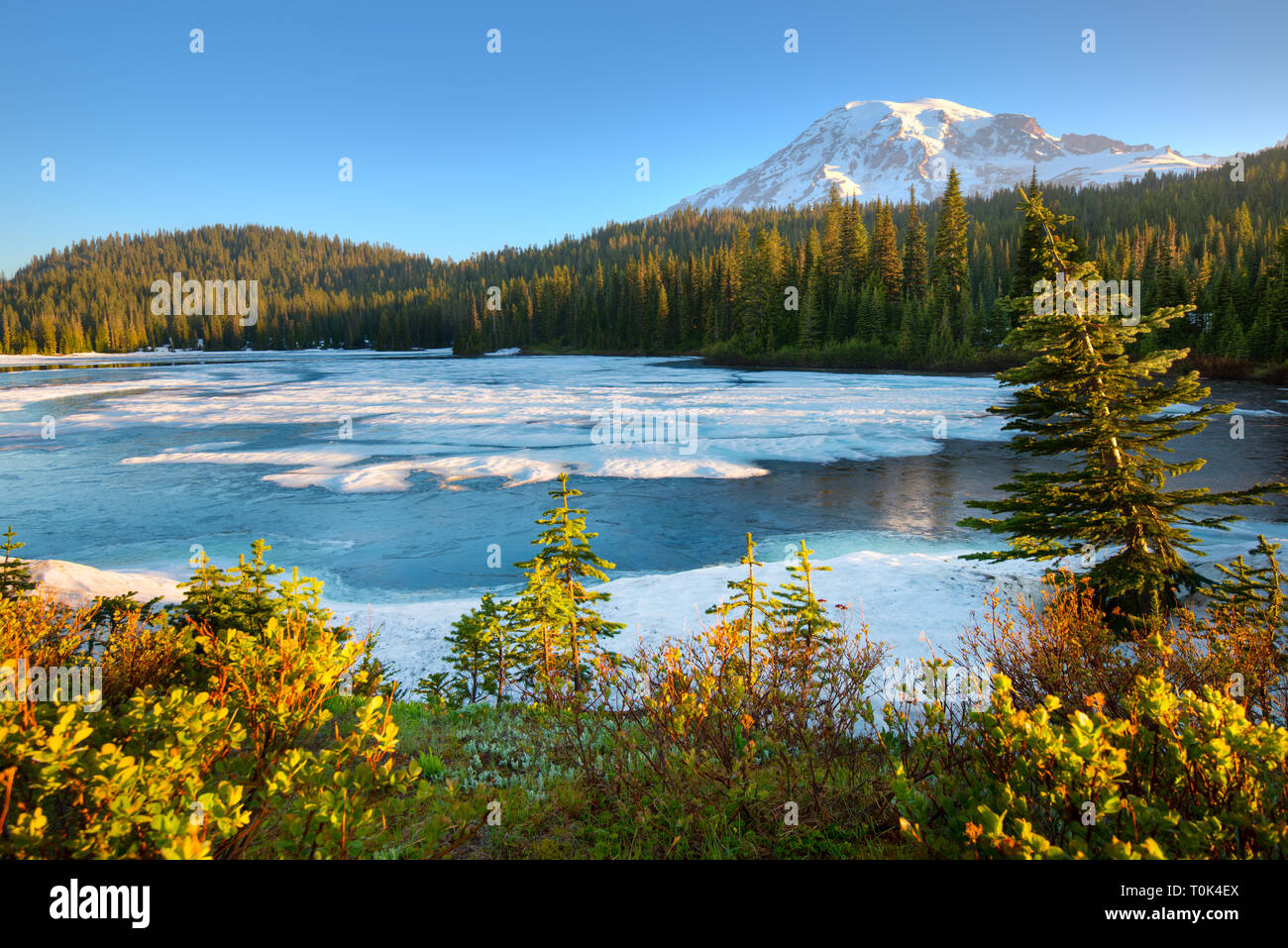 Riflessione congelati Lago e Monte Rainier presso il Parco Nazionale del Monte Rainier, nello Stato di Washington, USA Foto Stock