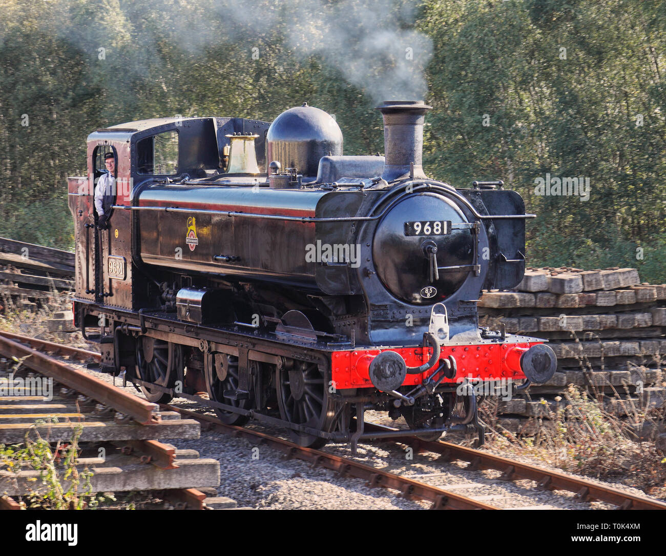 L'età di vapore, Vintage locomotiva a vapore sulla Foresta di Dean linea ferroviaria nel Gloucestershire, Inghilterra Foto Stock