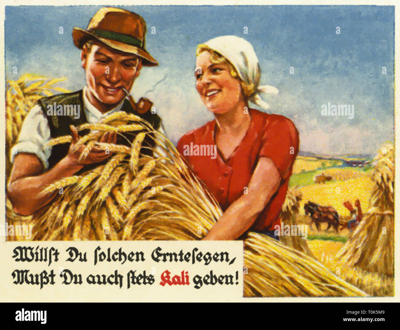 L'agricoltura, il raccolto, il contadino e la moglie di un agricoltore nel corso del raccolto, felice circa l'orecchio maturi, la pubblicità per i fertilizzanti potassici, Germania, 1938 circa, Additional-Rights-Clearance-Info-Not-Available Foto Stock