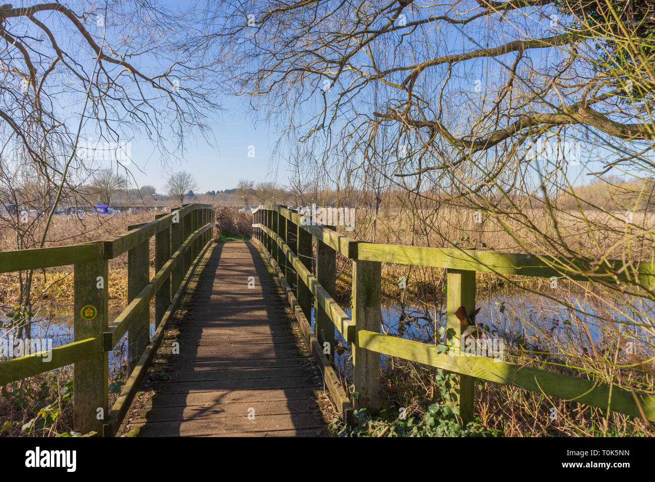 Il vecchio ponte in legno sul fiume. Inizio della primavera in Inghilterra. Una meravigliosa vista attraverso i rami di alberi Foto Stock