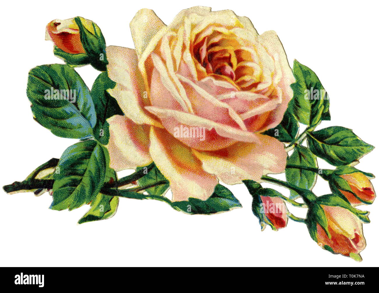 Il kitsch / souvenir, il ramo di rose, rottami di immagine, litografia, Germania, circa 1900, Additional-Rights-Clearance-Info-Not-Available Foto Stock