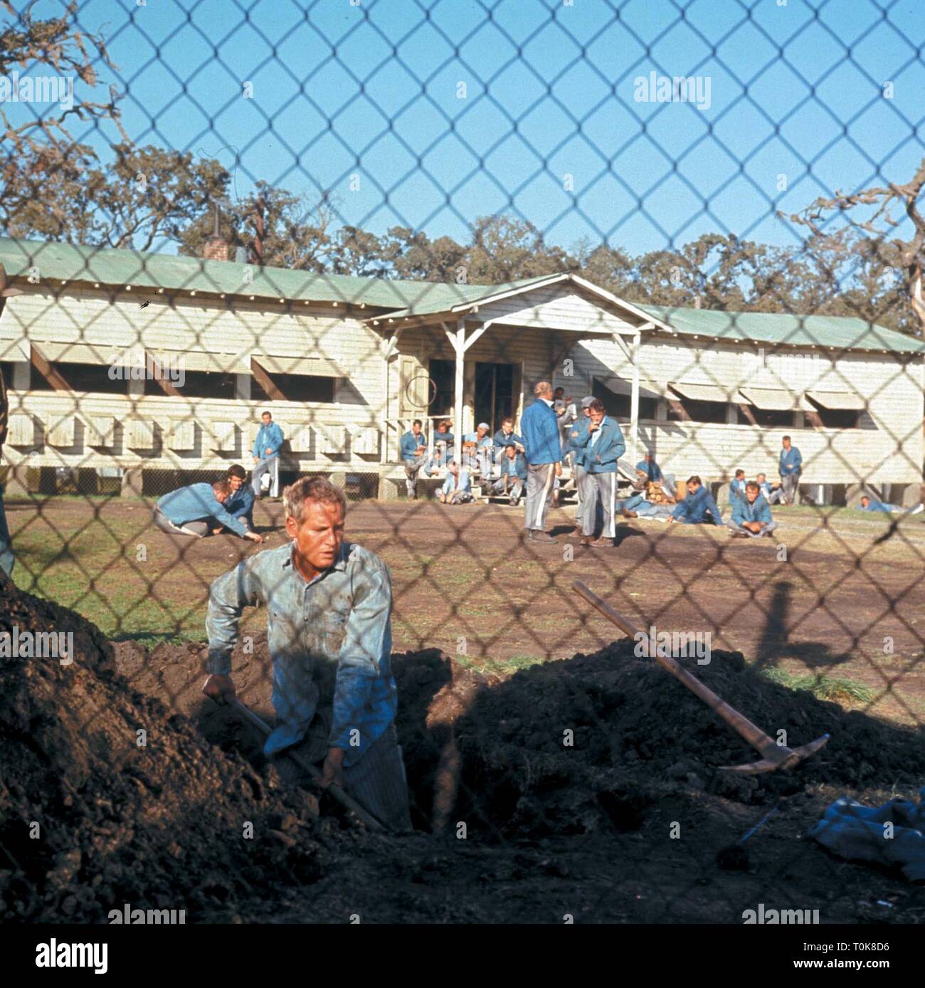 PAUL NEWMAN, Cool Hand Luke, 1967 Foto Stock