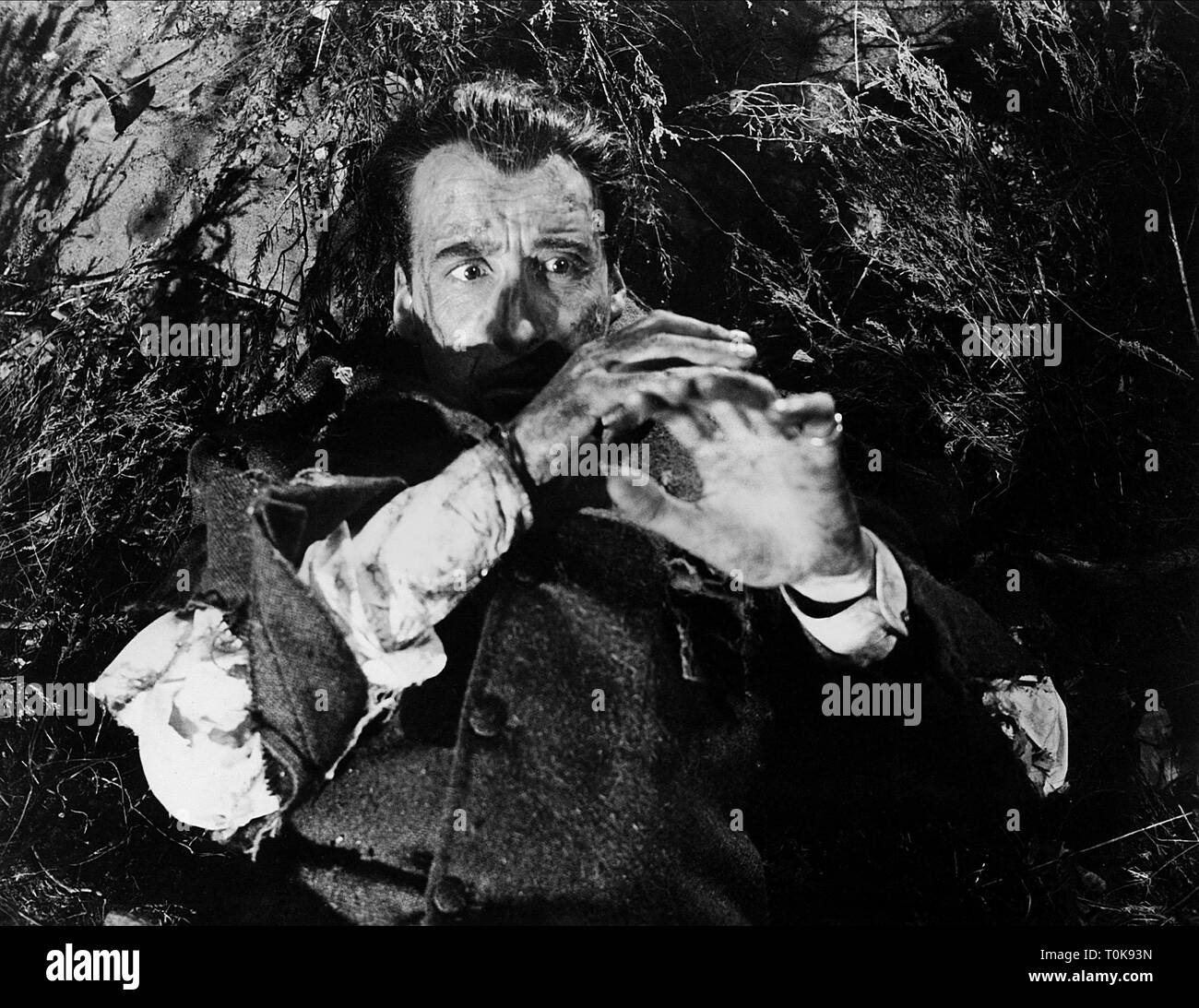 CHRISTOPHER LEE, HOUND DEL BASKERVILLES, 1959 Foto Stock