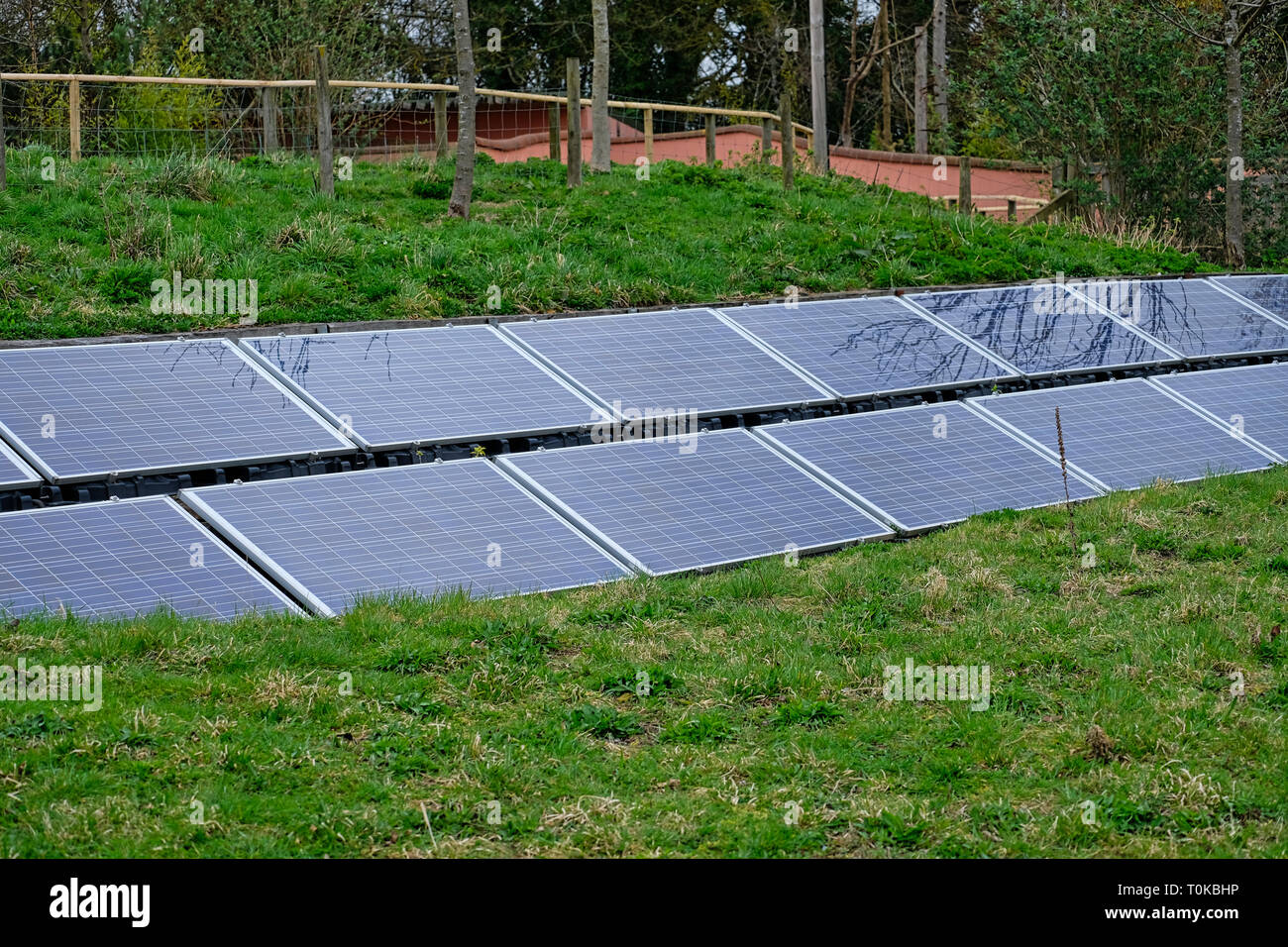 Lo Zoo di Marwell distribuzione dell'utilizzo di un array solare per contribuire al loro fabbisogno energetico Foto Stock