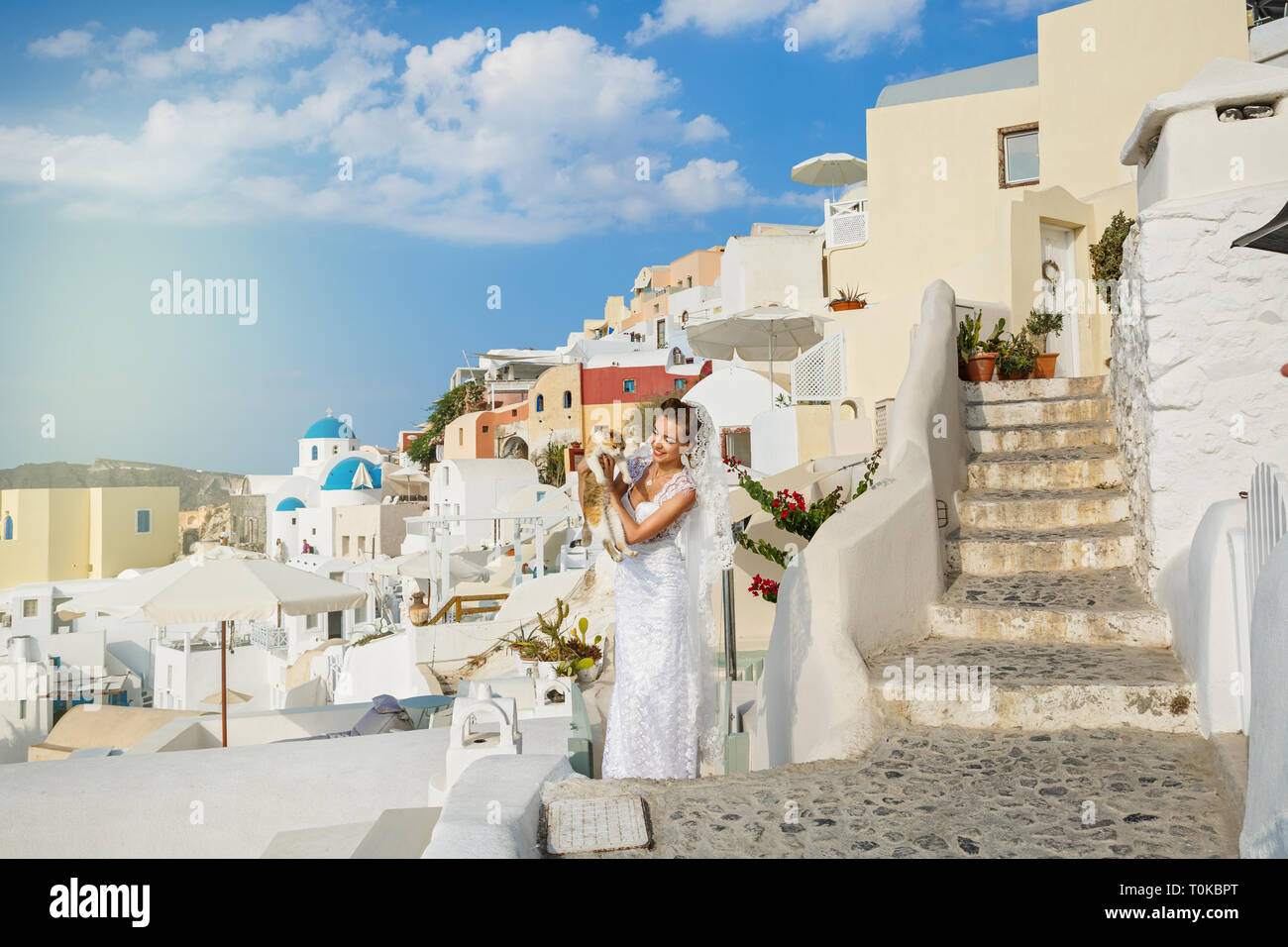 Bella donna in abito da sposa e il gatto rosso, sullo sfondo della architettura di Santorini Foto Stock