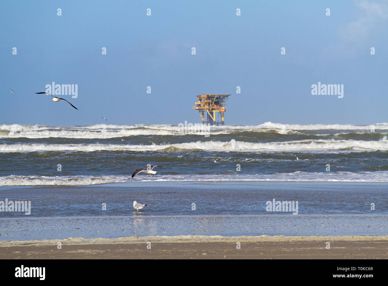 Produzione Offshore platform vicino l'isola olandese Ameland, spiaggia, le onde che si infrangono e gabbiani in primo piano Foto Stock