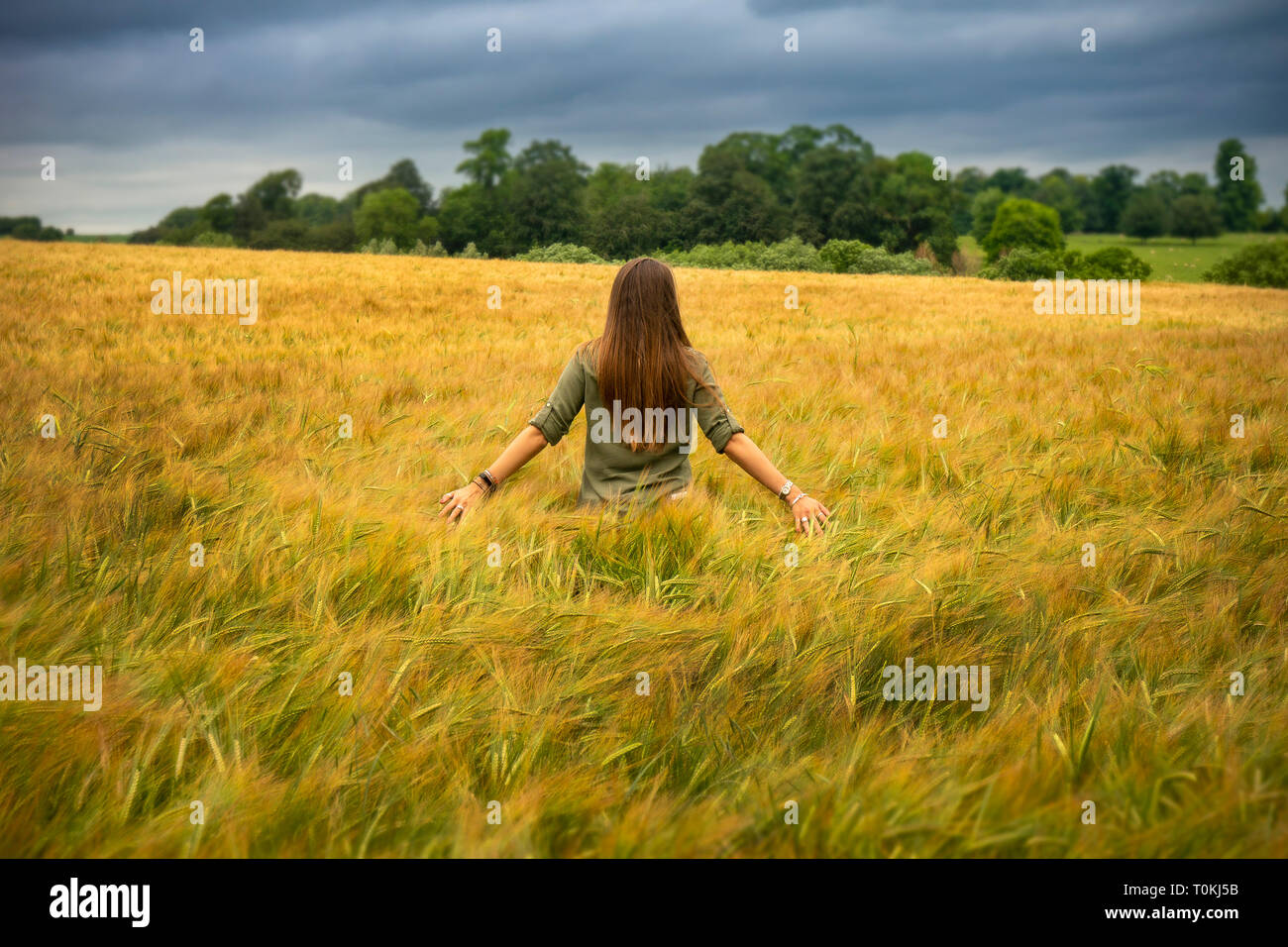 Giovane donna camminare in un campo di orzo,l'estate,campagna,Inghilterra Foto Stock