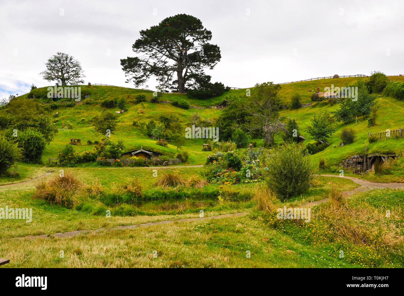 Hobbiton Movie set - Location per il Signore degli Anelli e Lo Hobbit film. Foro di Hobbit porte. Attrazione turistica nella regione di Waikato in Nuova Zelanda Foto Stock