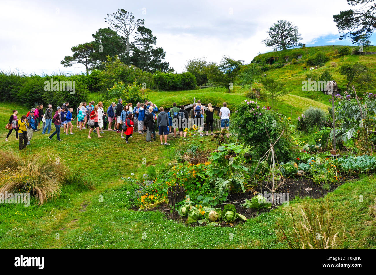 Hobbiton Movie set - Location per il Signore degli Anelli e Lo Hobbit film. Grande numero di visitatori, molte persone. Regione di Waikato in Nuova Zelanda Foto Stock