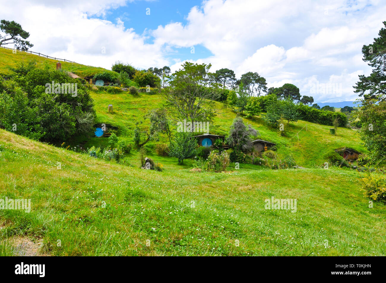 Hobbiton Movie set - Location per il Signore degli Anelli e Lo Hobbit film. Foro di Hobbit case. Attrazione turistica nella regione di Waikato in Nuova Zelanda Foto Stock