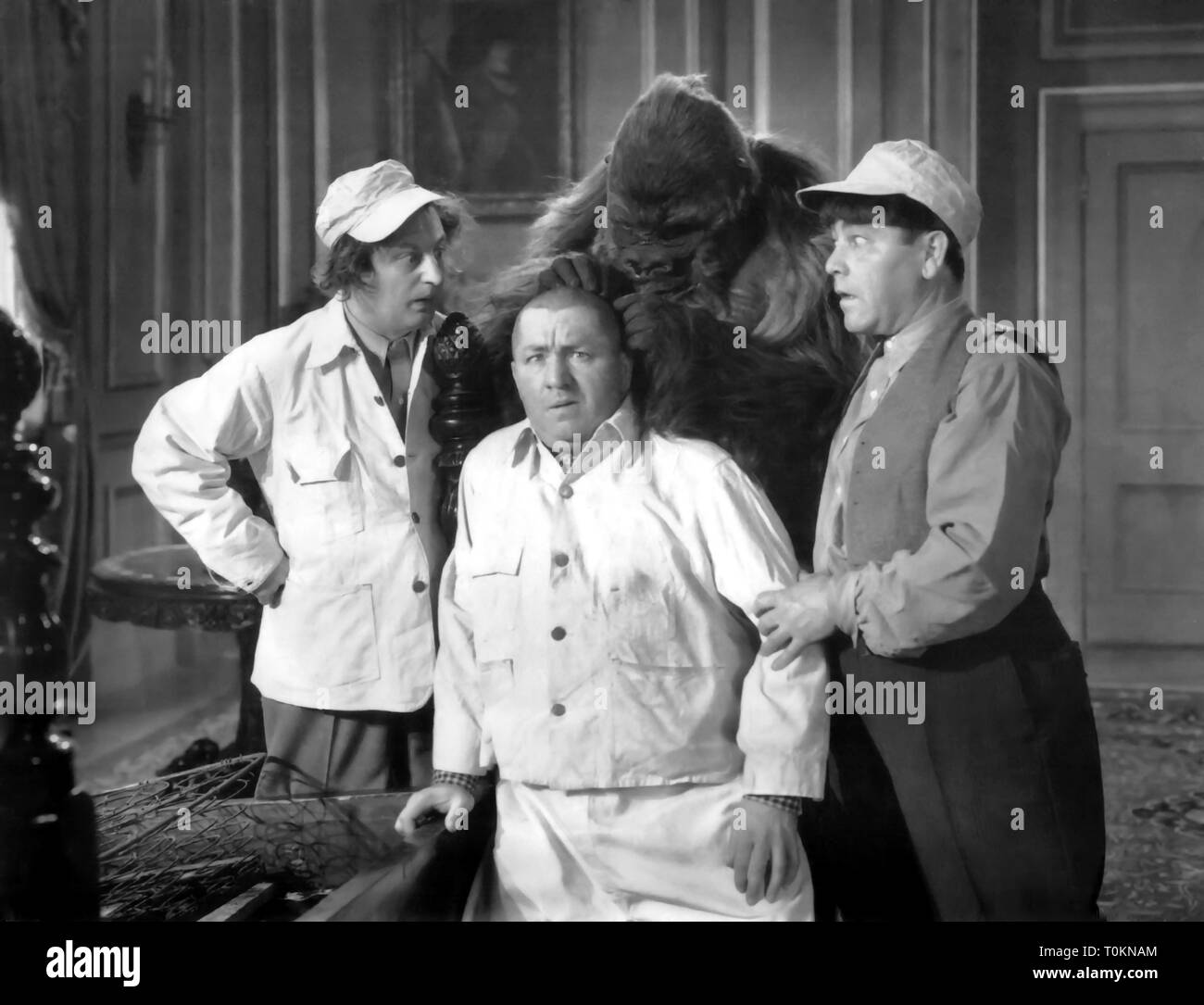 Oltre mezzo secolo dal loro ultimo cortometraggio è stato rilasciato, il Three Stooges restano popolari con il pubblico. I loro film non hanno mai lasciato la televisione americana fin dal primo apparire nel 1958, e continuano a deliziare i fan vecchio mentre attirare nuovi spettatori. Essi sono stati un duro lavoro di gruppo di comici che non sono mai stati critici' darlings, un atto durevole che ha vissuto numerosi cambiamenti di personale nella loro carriera che avrebbe definitivamente accantonata a meno persistente agiscono. Credito: Hollywood Archivio foto / MediaPunch Foto Stock