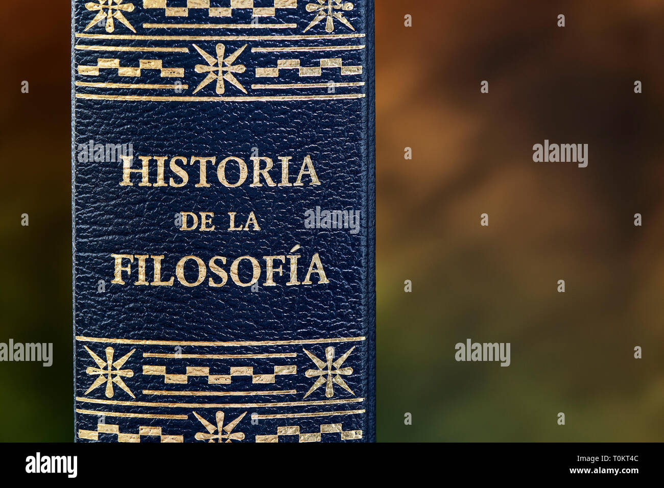 Retro del libro Storia della filosofia, rilegato in pelle con il titolo d'oro Foto Stock