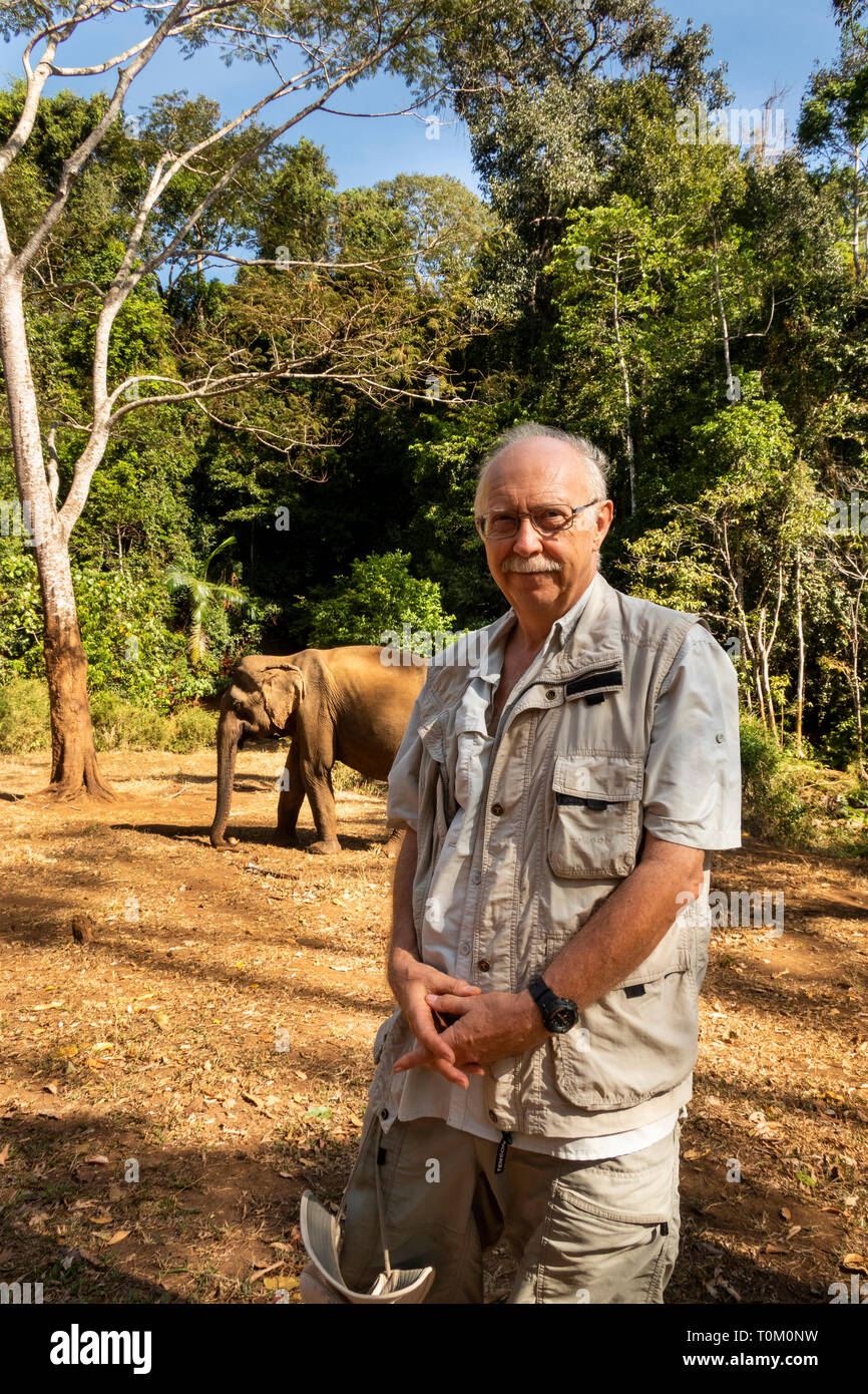 Cambogia, zone di Mondulkiri Provincia, Sen Monorom, elefante progetto Valle, senior visitatore maschio vicino a ex elefante di lavoro nel bosco Foto Stock
