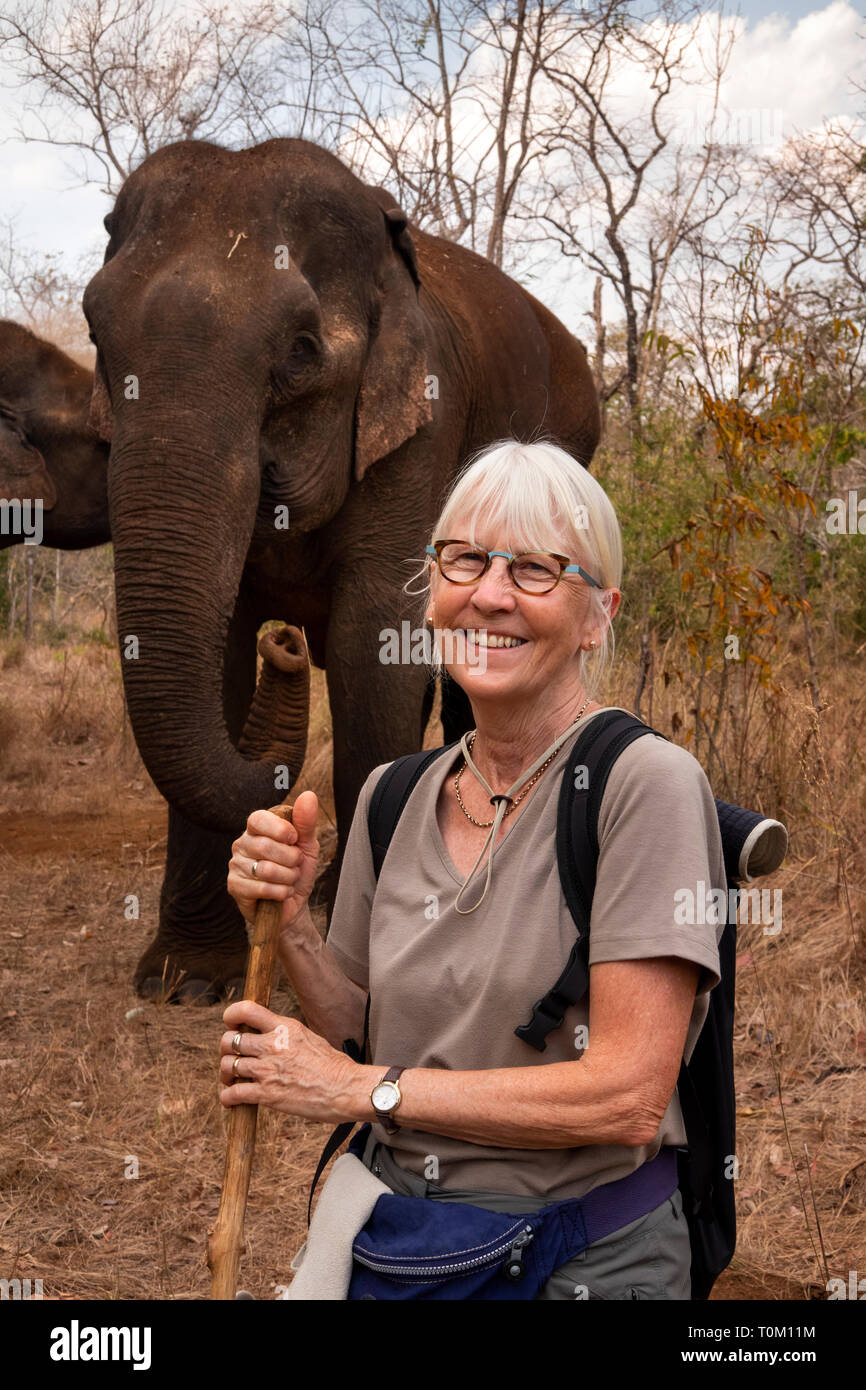 Cambogia, zone di Mondulkiri Provincia, Sen Monorom, elefante progetto Valle, turista femminile, posa con ex elefanti di lavoro Foto Stock