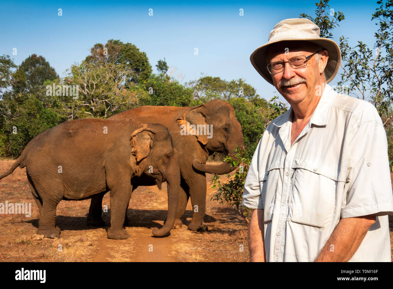Cambogia, zone di Mondulkiri Provincia, Sen Monorom, elefante progetto Valle, senior visitatore maschio che posano per una foto ricordo con Sambo, ex tempio elep Foto Stock