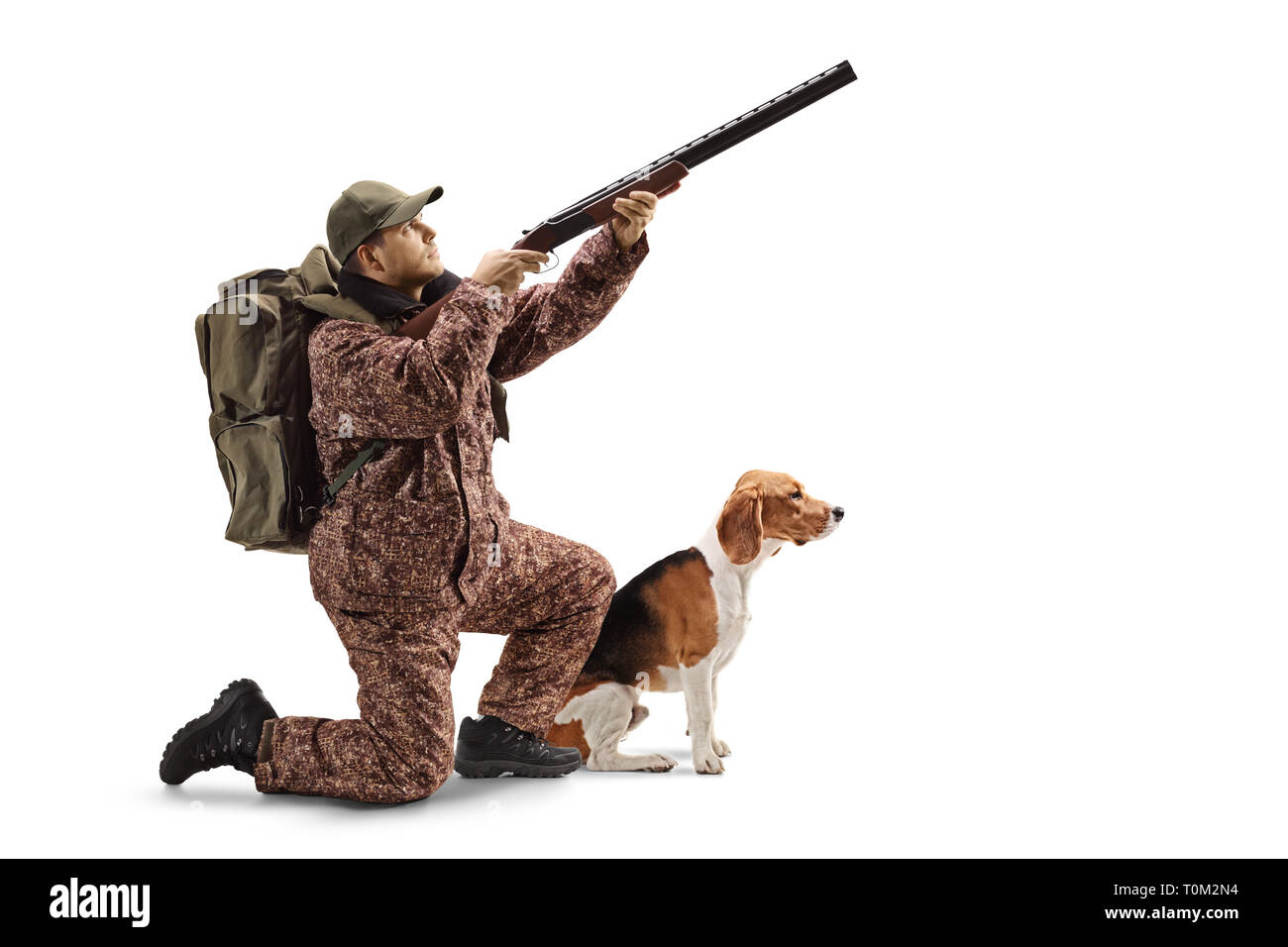 Lunghezza completa colpo di un cacciatore inginocchiato con un fucile da caccia, puntando verso l'alto e un cane beagle accanto a lui isolato su sfondo bianco Foto Stock