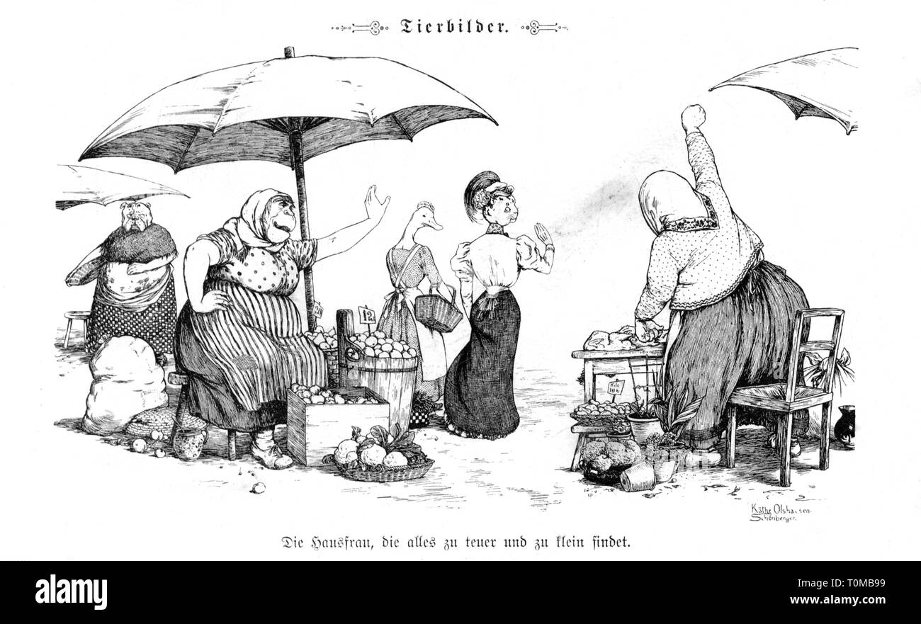 La caricatura, 'Die Hausfrau, die alles zu teuer und zu klein findet' (la massaia che pensa che tutto ciò che è troppo costoso o troppo piccolo), disegno di Kate Olshausen-Schönberger (1881 - 1968), fuori: "Fliegende Blätter', Monaco, 1906, artista del diritto d'autore non deve essere cancellata Foto Stock