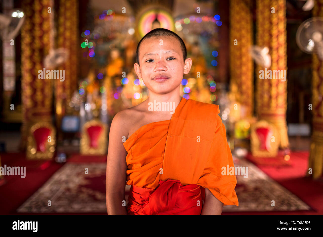 Giovane monaco in un tempio, Laos Foto Stock