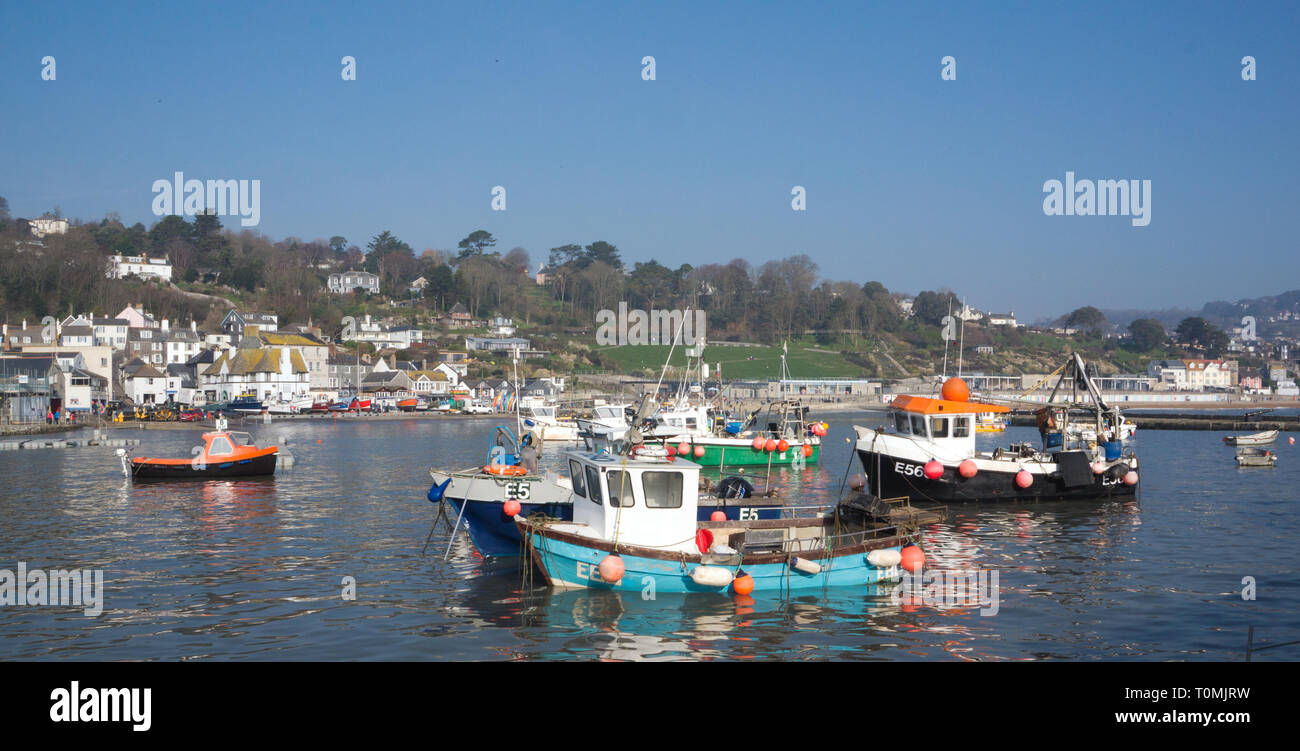 Barche da pesca in Lyme Regis Harbour, DORSET REGNO UNITO. Foto Stock