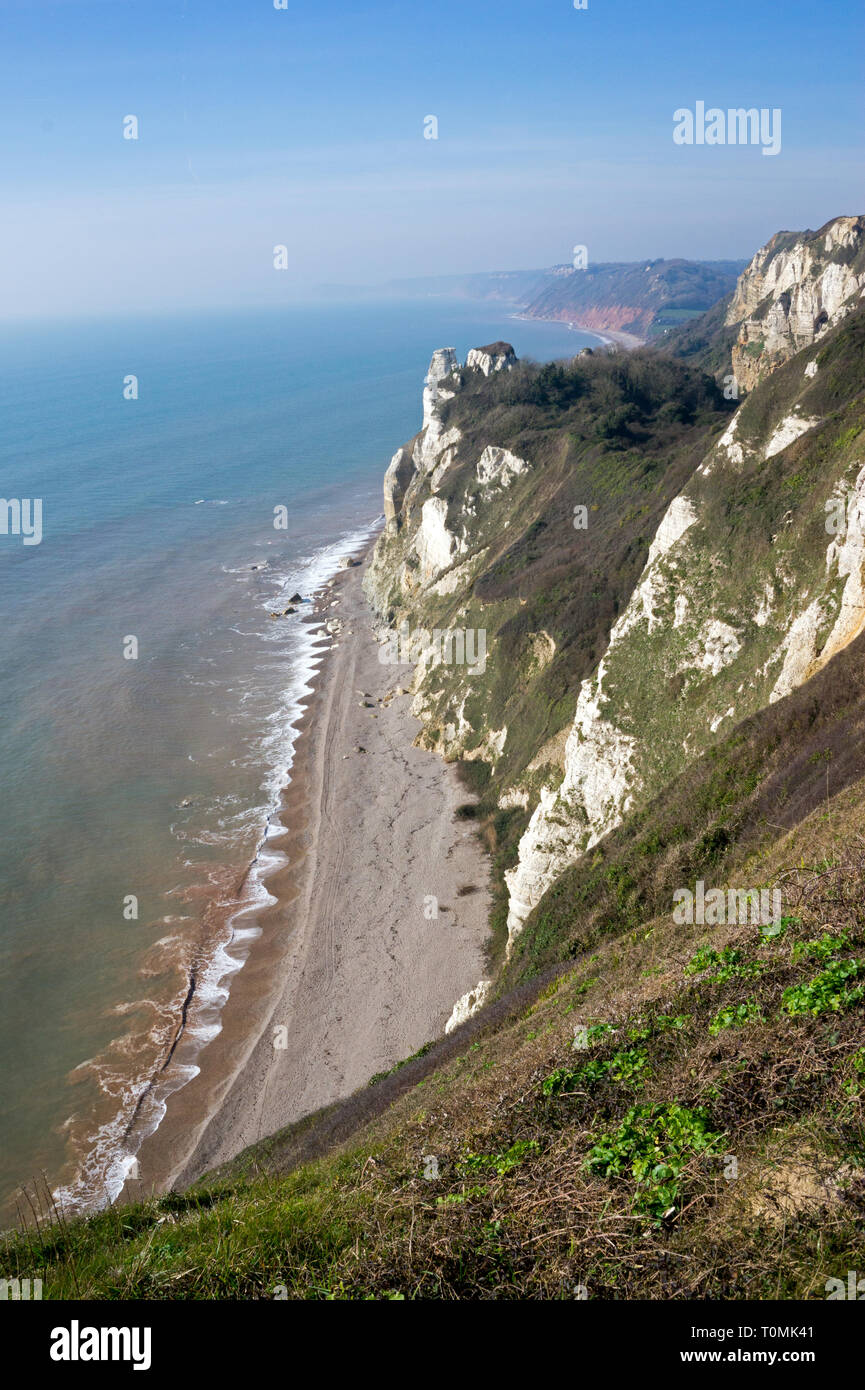 Vista panoramica della Jurassic Coast chalk scogliere e spiaggia, birra, East Devon Coast, Inghilterra Foto Stock