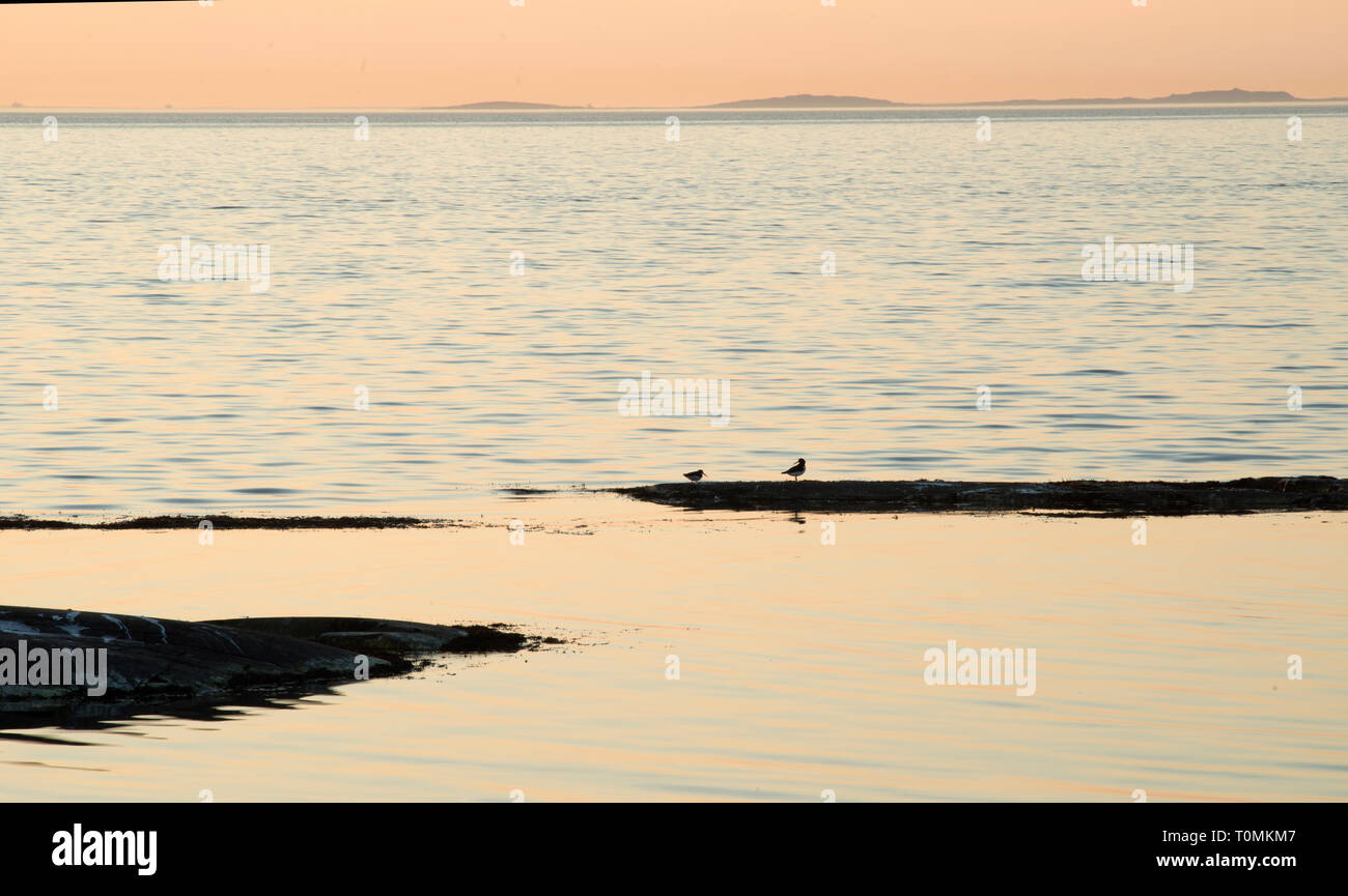 Abstract, Breve, Riepilogo, ricerca, articolo, tesi di laurea, review, conferenza, procedendo, in particolare, oggetto Foto Stock