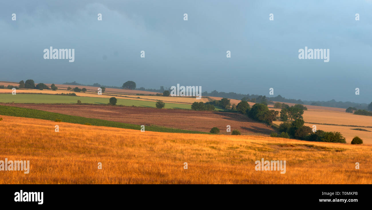 Abstract, Breve, Riepilogo, ricerca, articolo, tesi di laurea, review, conferenza, procedendo, in particolare, oggetto Foto Stock