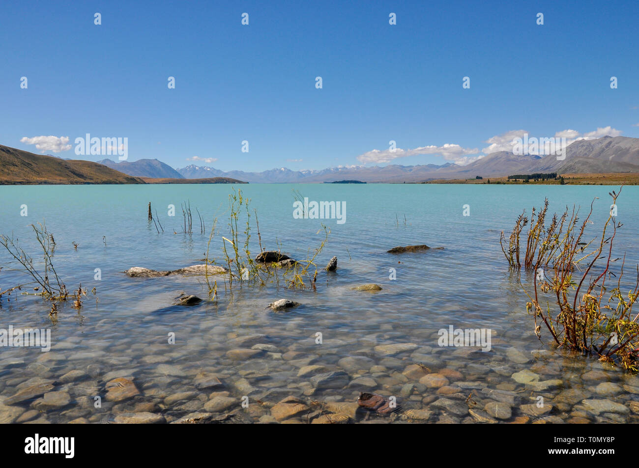 Lago Tekapo, Nuova Zelanda nel Bacino di Mackenzie sull'Isola del Sud. Acque blu del lago, montagne e foreshore nel cielo blu. Regione di Canterbury Foto Stock