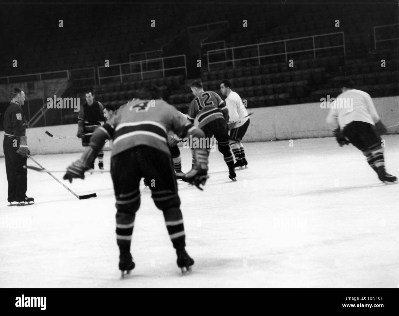 Sport, sport invernali, hockey su ghiaccio, formazione, Nord America, anni cinquanta, Additional-Rights-Clearance-Info-Not-Available Foto Stock