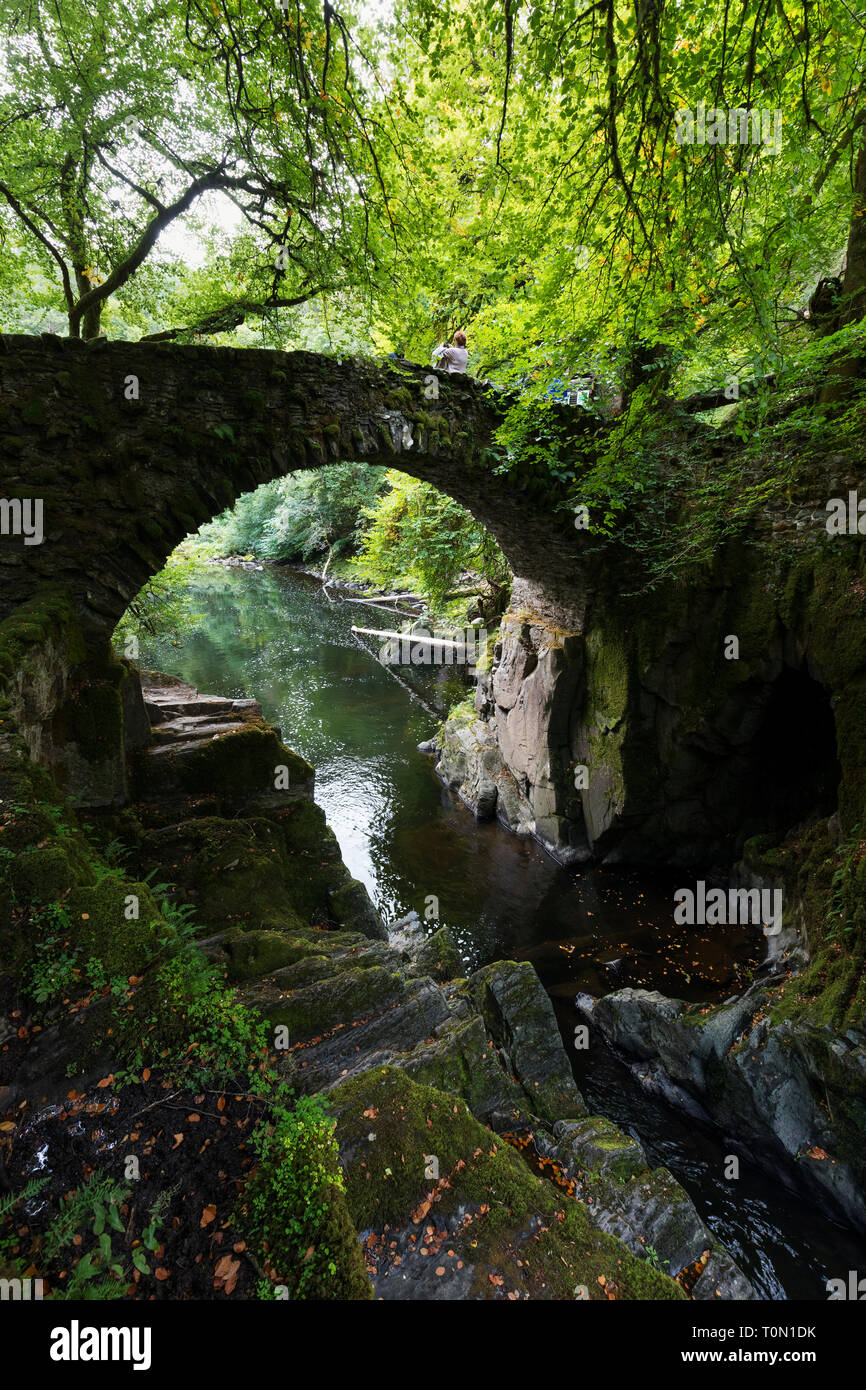 L'eremo; Craigvinean foresta; Scozia - UK Foto Stock