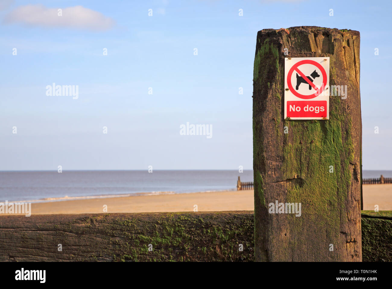 Un No cani segno su una struttura di frangionde su un North Norfolk spiaggia a Bacton-on-Sea, Norfolk, Inghilterra, Regno Unito, Europa. Foto Stock