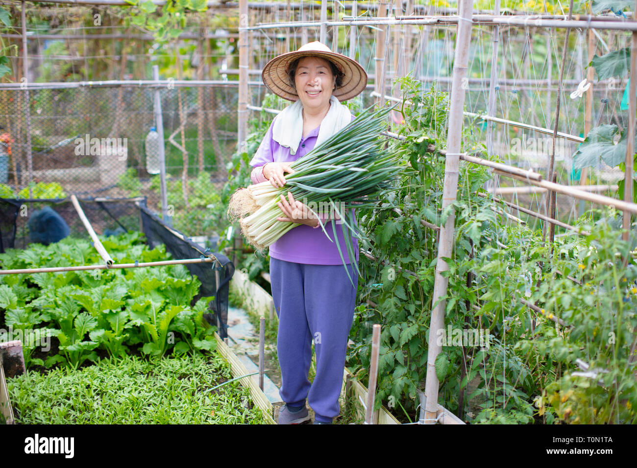 Femmina agricoltore Senior con verdure Foto Stock