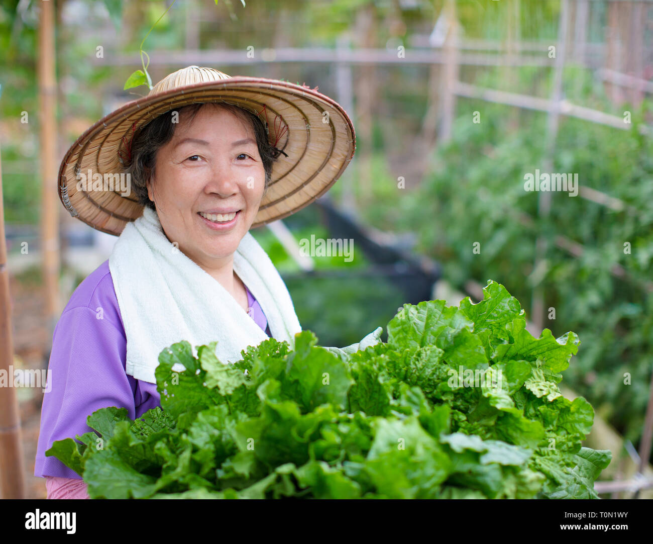Femmina agricoltore Senior con verdure Foto Stock