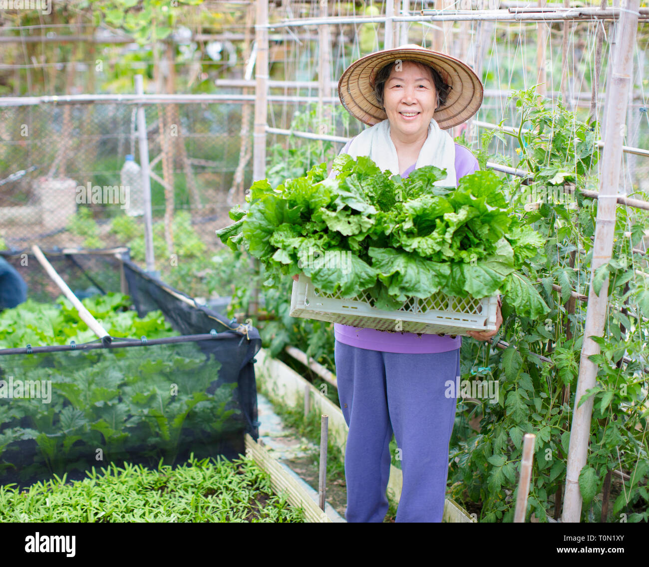 Femmina agricoltore Senior con verdure Foto Stock