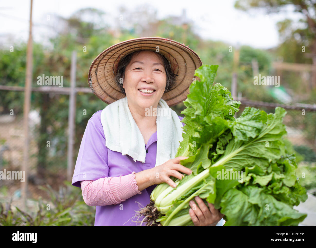 Femmina agricoltore Senior con verdure Foto Stock