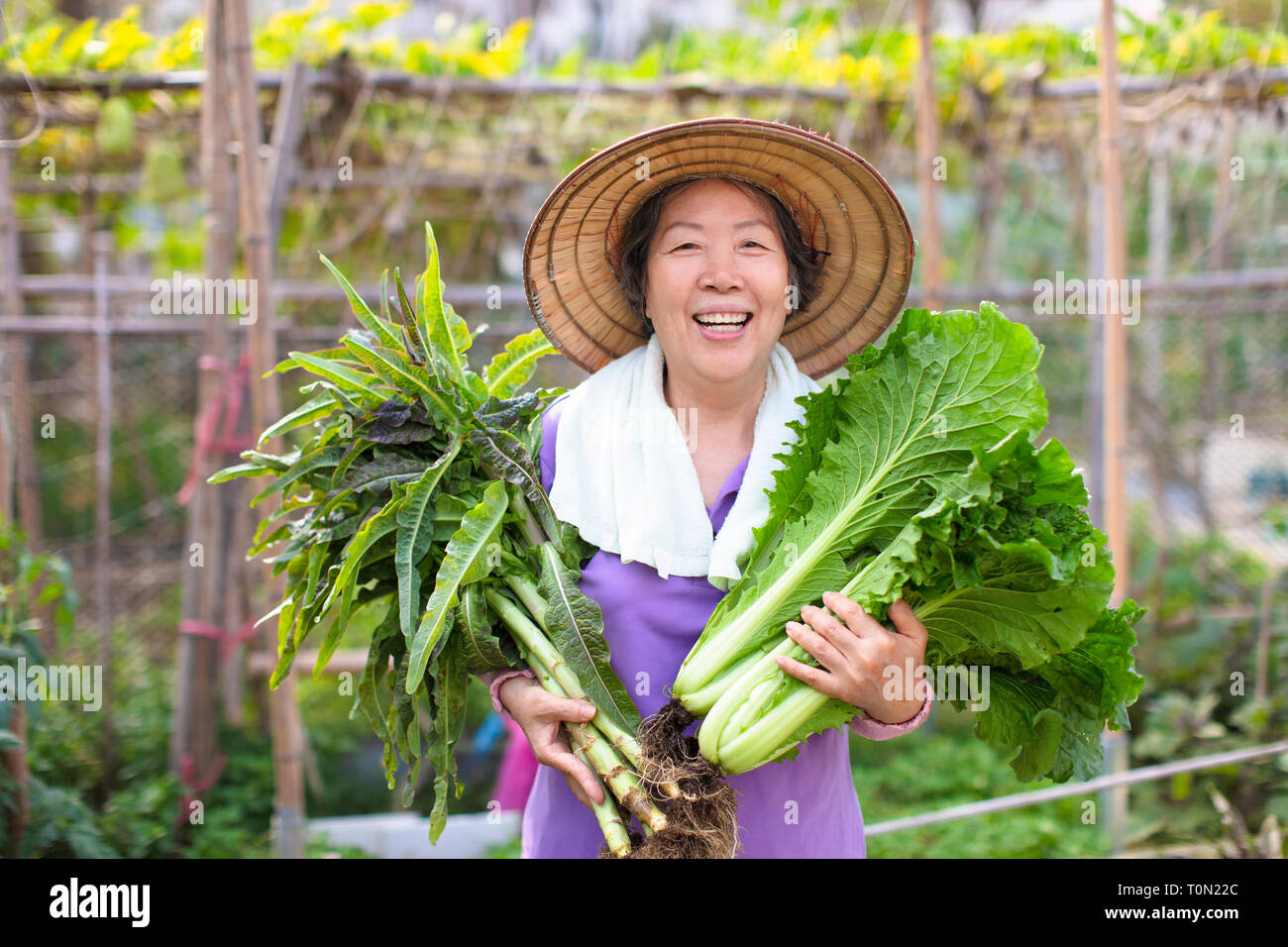 Femmina agricoltore Senior con verdure Foto Stock
