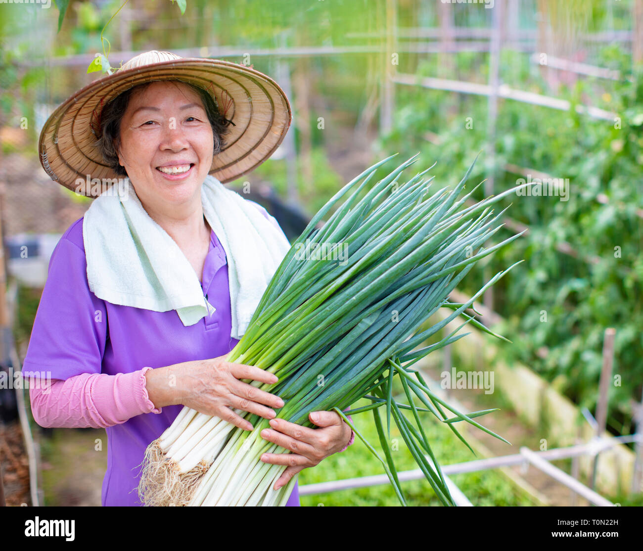 Femmina agricoltore Senior con verdure Foto Stock