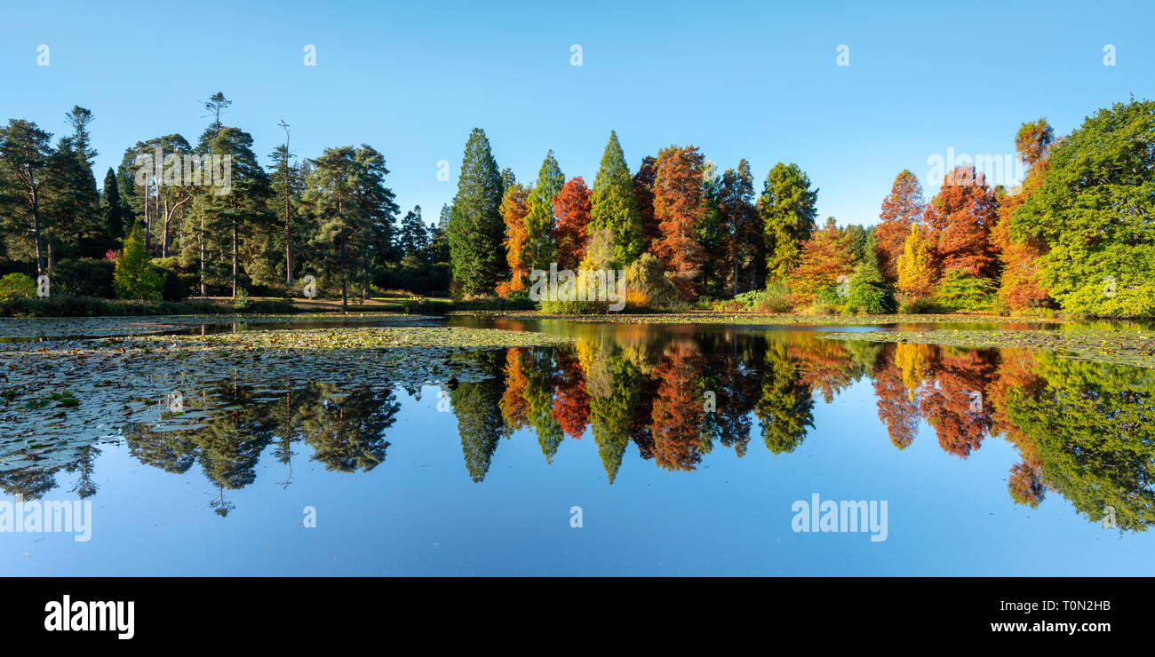 Autunno riflessioni a Bedgebury Pinetum Nazionale e la foresta nel Kent. Foto Stock