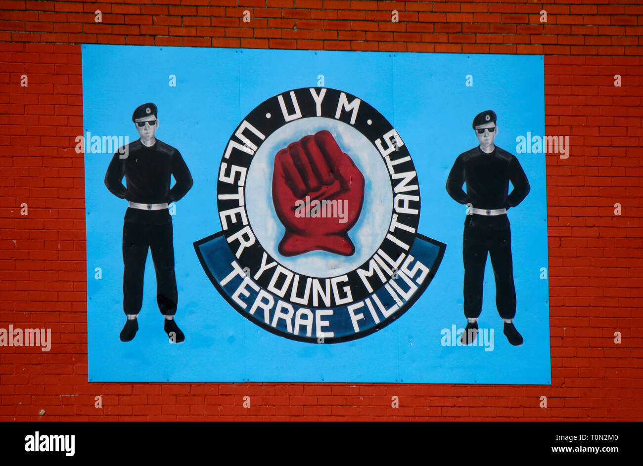 Wandbild/ murale, das an den Buegerkrieg erinnert und die Miliz 'UYM - Ulster giovani militanti' ehrt, im protestantischen Teil Belfasts, in der Naehe de Foto Stock