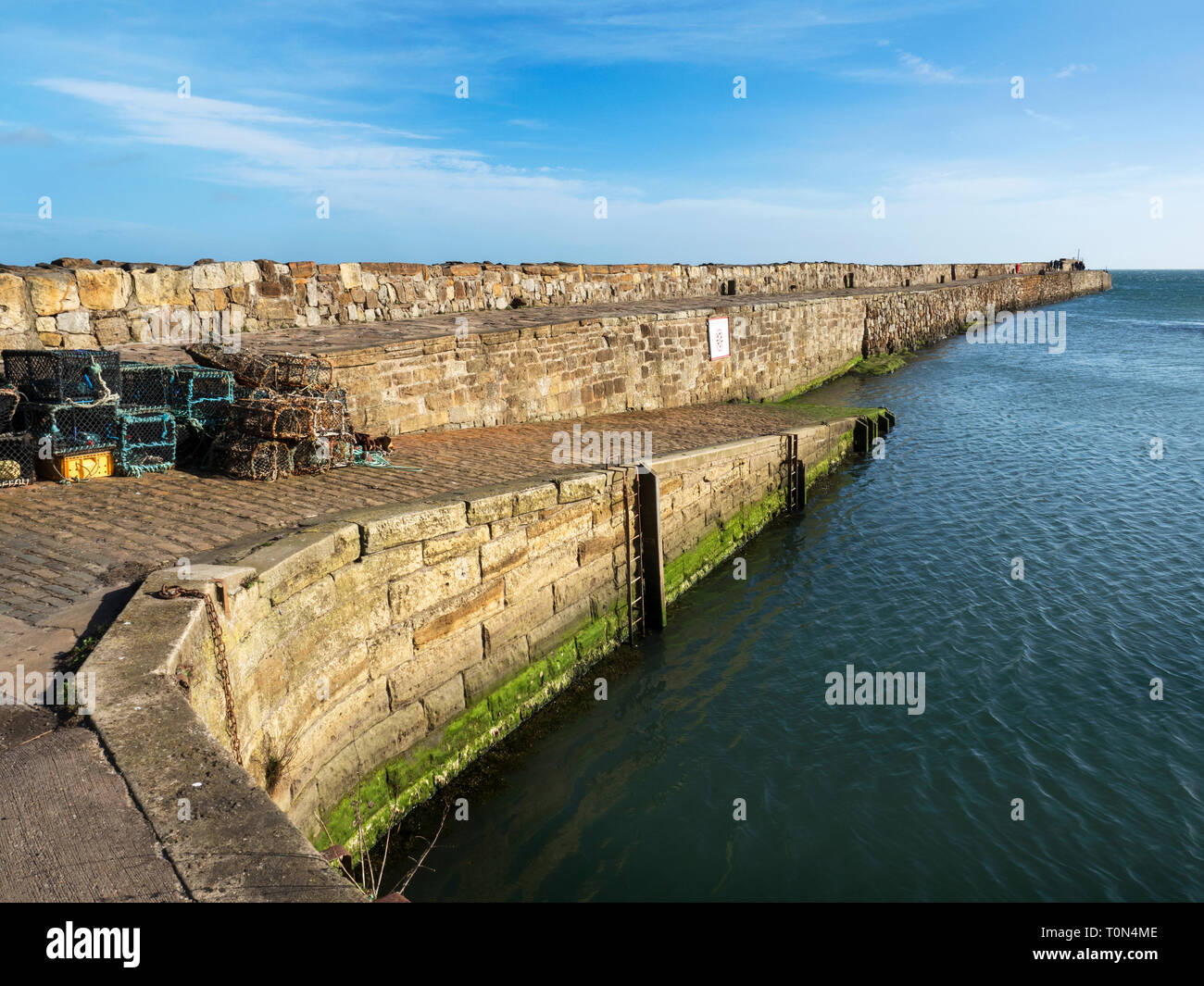 St Andrews Harbour su una soleggiata mattina di primavera St Andrews Fife Scozia Scotland Foto Stock