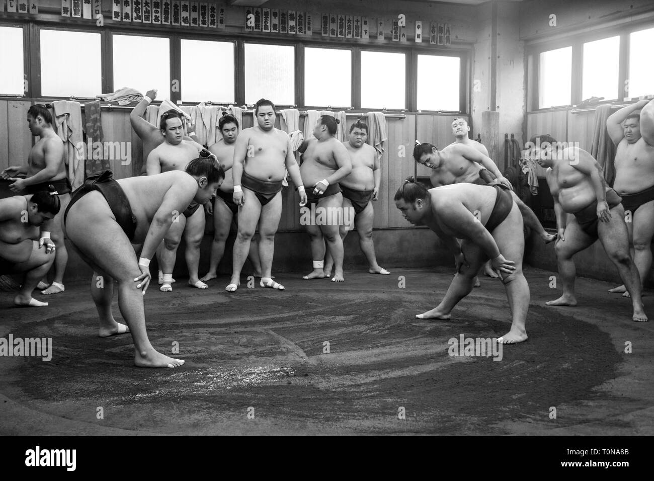 Sumo wrestling formazione in Tokyo, Giappone Foto Stock