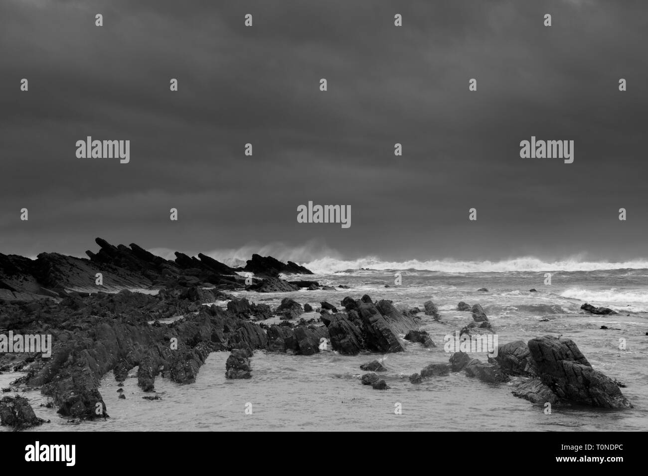 Rocky foreshore a Crackington Haven, Cornwall, England, Regno Unito Foto Stock