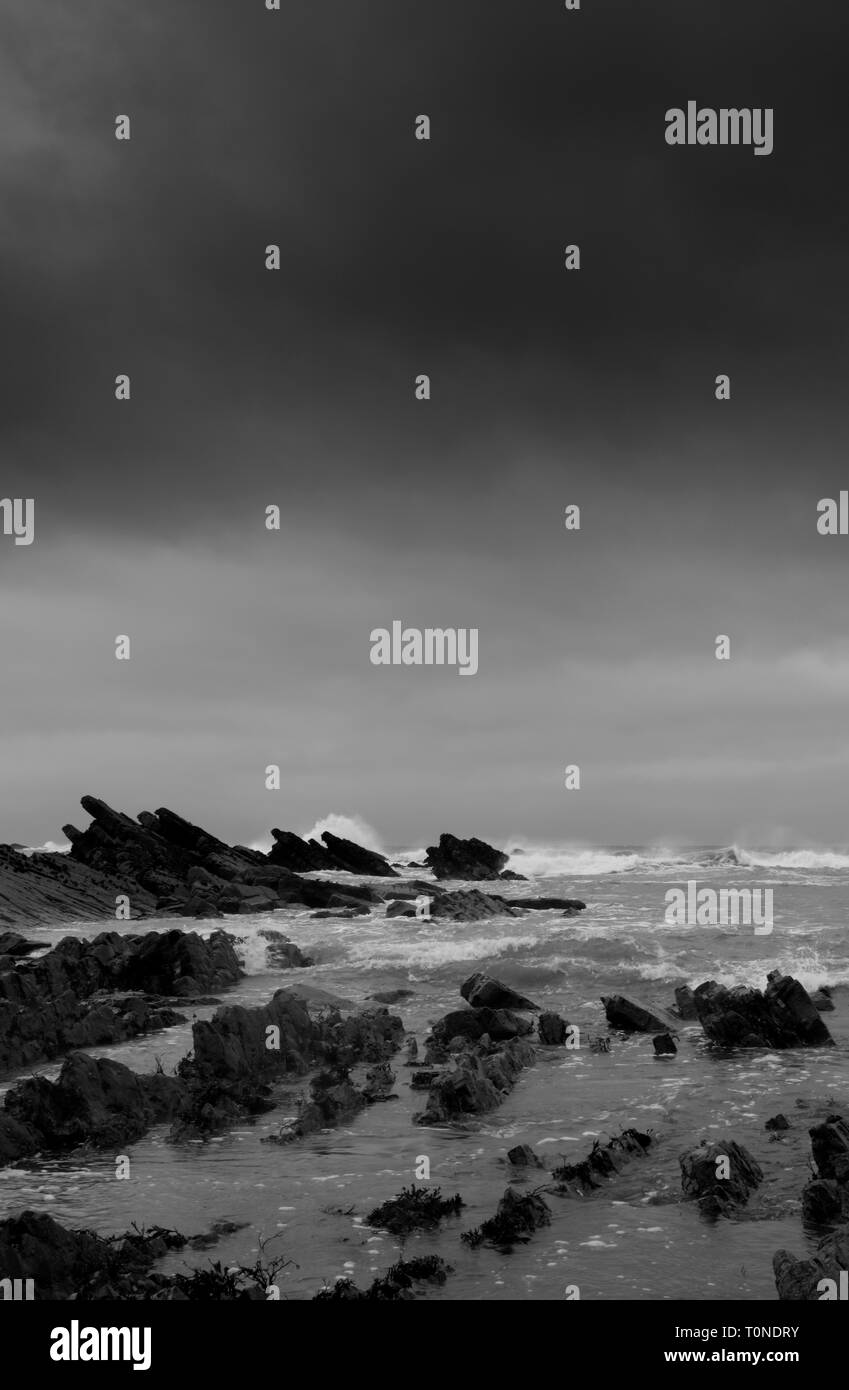 Rocky foreshore a Crackington Haven, Cornwall, England, Regno Unito Foto Stock