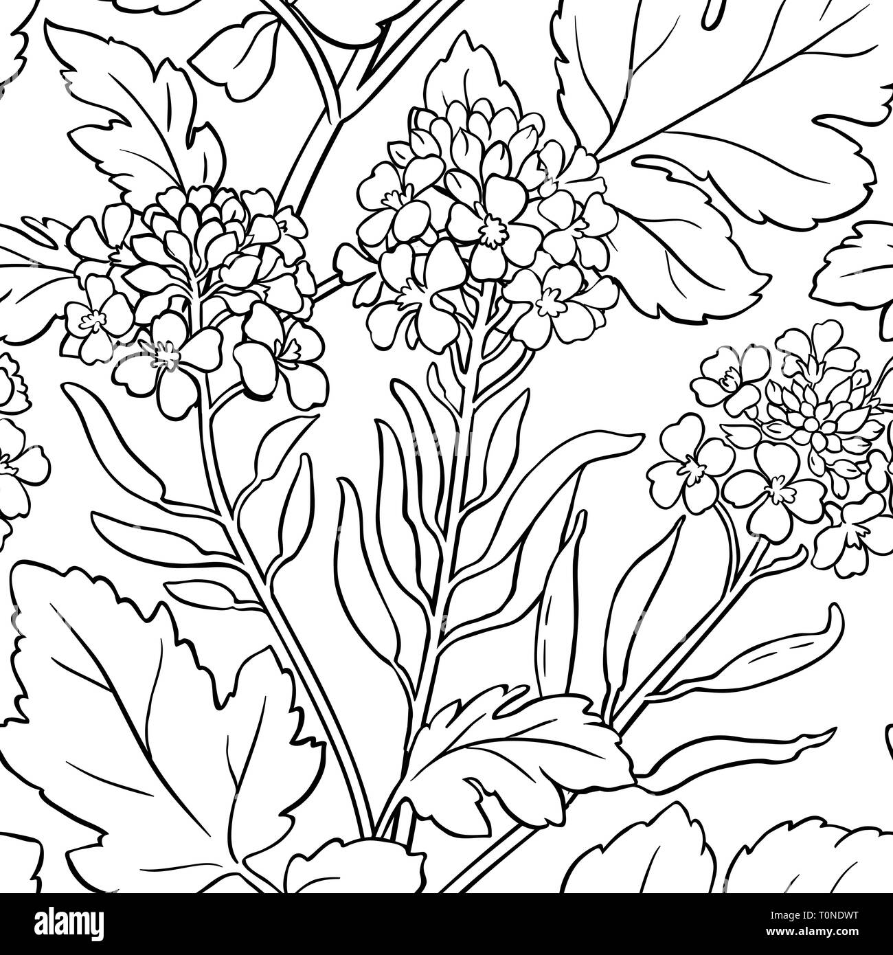 Vettore di senape pattern su sfondo bianco Illustrazione Vettoriale