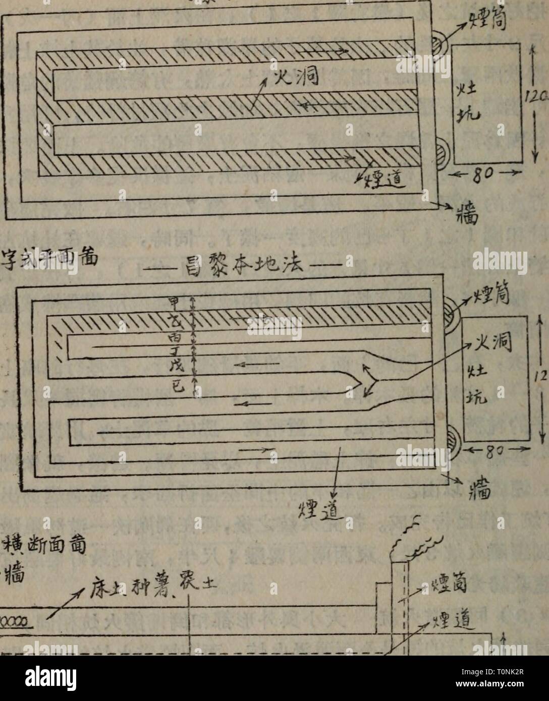 Dong bei nan bu zhu dong bei nan bu Yao zhu shu cai zai pei fa dongbeinanbuzhuy00chui Anno: 1954.2 ä' 6 â 2ã W?^ä¹é¢^ é¬ª2 åç éç"å âSff^^â I20 Foto Stock