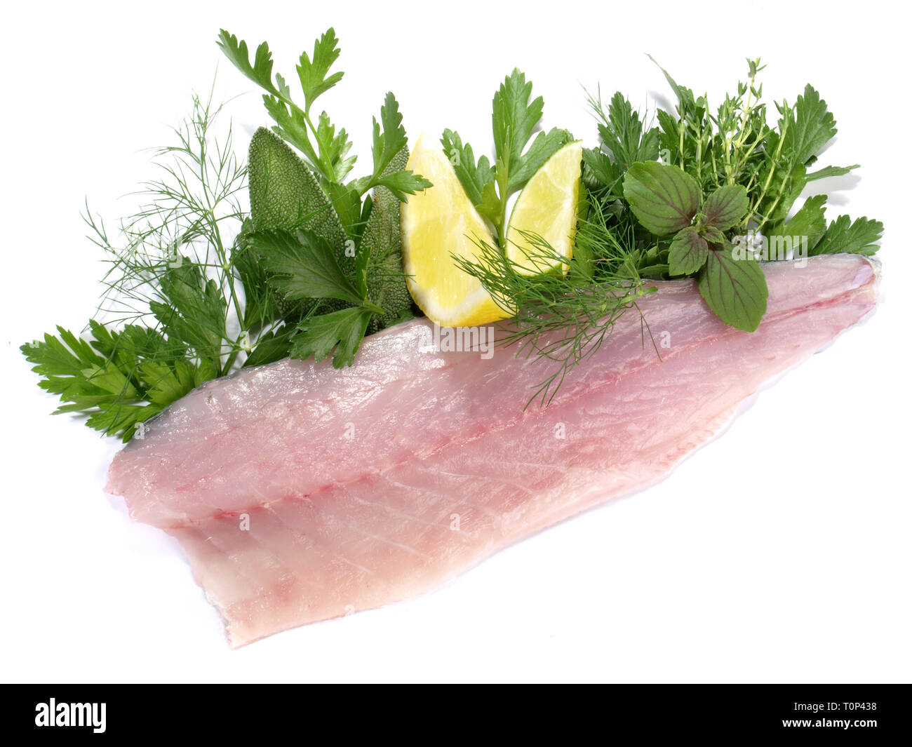 Sea Wolf - Filetto di pesce su sfondo bianco Foto Stock