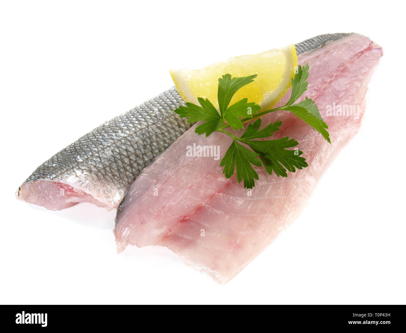 Sea Wolf - Filetto di pesce su sfondo bianco Foto Stock