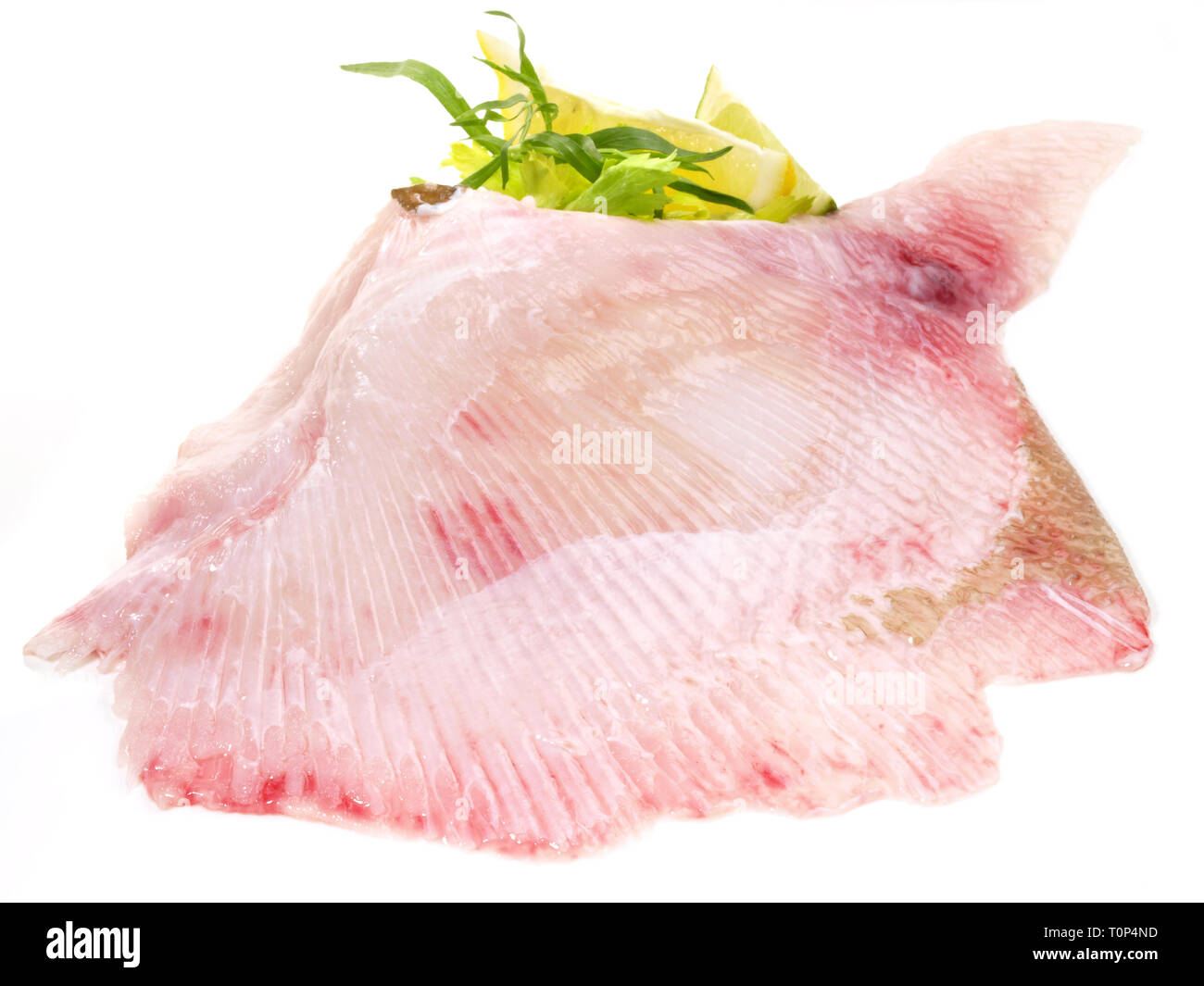 Pattino di ali di pesce su sfondo bianco Foto Stock